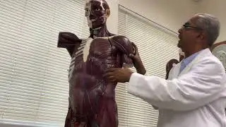 Muscles of the Head and Neck by Dr.Sajish Kuriakose