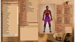 World Boxing Manager Modding Demonstration