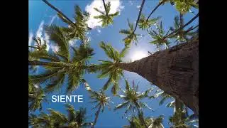 Siente - Yessin #RAPFORCHANGE