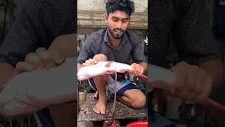 Amazing Fish Cutting Skills #shorts #fishcutting #fish_cutting_bd #wfc
