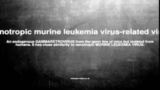 Medical vocabulary: What does Xenotropic murine leukemia virus-related virus mean