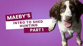 Dogbone Shed Antler Training Intro Part 1