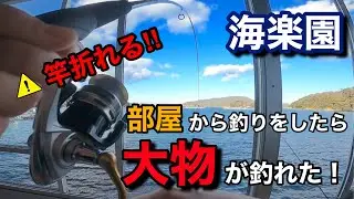 『部屋から釣りが出来る旅館』海楽園の歴史を塗り替える大物を釣り上げた！あの超有名YouTuberも釣りをした三重県鳥羽市海上料亭海楽園