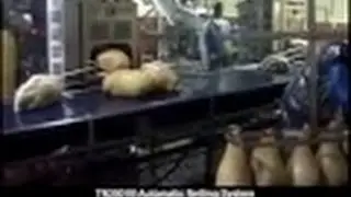TN2001B Whole Muscle Netting Machine