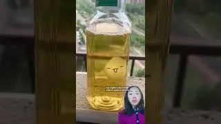 Chinese GenZs are keeping tea molds as pets