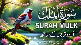 Surah Al-Mulk سورة الملك | Heart-Calming Recitation for Protection, Peace & Night | #surahmulk