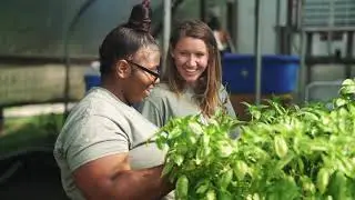 Mill Village Farms' Story