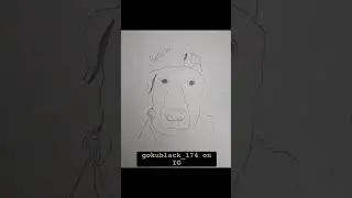 Belle drawings!!! #shorts #dog #bellebows #cute #belle #pets #memes #silly #dogs #drawing