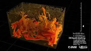 Oil sloshing vertical motion at 10g - visualization of the turbulent vortex structures