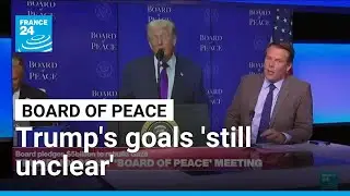 Trump's first 'Board of Peace' meeting: 'Still unclear what he's trying to achieve' &bull; FRANCE 24