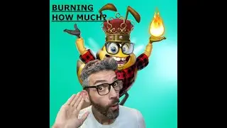 Honeyland HXD Burn!!! HOW MUCH?!?