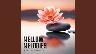 Meditative Essence