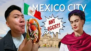Mexico City Surprised TF Outta Me 🤯 | Would it be awkward if I traveled with a bunch of  my fans?