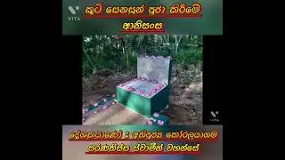 කුටි සෙනසුන් පූජා කිරීමේ ආනිශංස ..පූජ්ය කෝරලයාගම සරණතිස්ස ස්වාමීන්වහන්සේ  ස්වාමීන්වහන්සේ