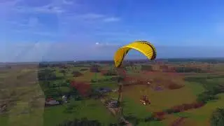 SOL Flexus 2 wing I just got...