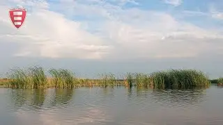 На берегу реки - релакс