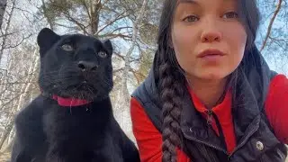 Осталась одна в новом доме с пантерой Луной и Вензой🤪