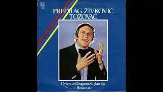 Predrag Živković Tozovac - Skeledžija na Moravi | [Official Music Audio]