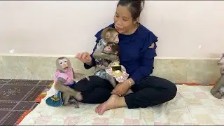 OMG!! Sister Jula Crying Loud Very Tantrum Angry Mom For Not Loving Her Like Sister Sovanny & Kobie,