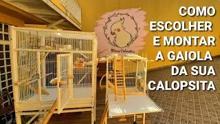 COMO ESCOLHER E MONTAR A GAIOLA DA SUA CALOPSITA