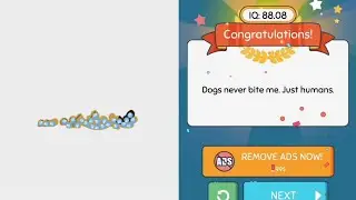 brain up new update gameplay android smartphone IOS walkthrough all levels answer solution quiz 19
