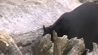 20090902 112150