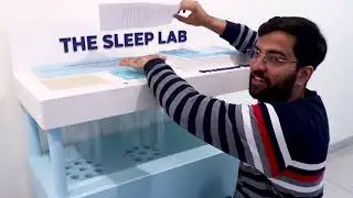 Step into Luxurious Comfort - The Sleep Company Store - Preet Vihar | Delhi   SmartGRID Mattress