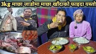 3Kg माछाको तरकारी यसरी बनाउँदै | 3Kg Fish Cutting Making And Eating | Mukbang Video | Fish Curry