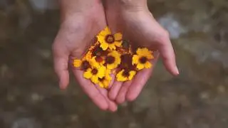 Amber Shirah - White Water