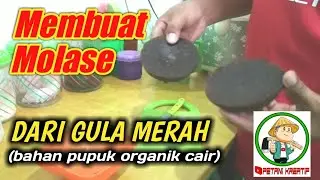 Cara Membuat Molase dari Gula Merah
