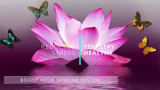Optimize Your Immune System - Increase Alpha and Theta Brainwave! - Boost Your Immune System