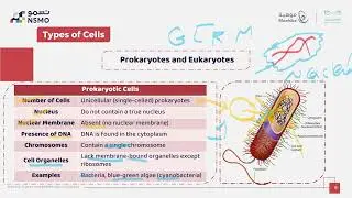 NSMO Olympiad -Biology- Lesson 2 Cell Theory and Types of Cells