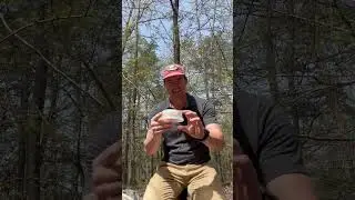 Donor Thank-You for Helping Save Our Hemlocks