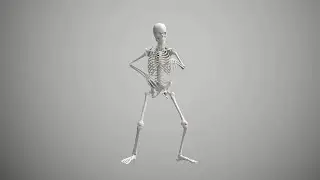 Skeleton Break dance award winning animation video