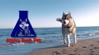 World Trade Center Arkansas - Alpha Tech Pet Video Trade Mission