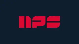 NPS (Niagara Port Services)