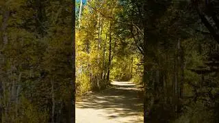 Senator Highway  #arizonatravel  #miningtown #explorearizona #crownking #offroad #prescott #trails