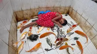 Aquarium Cleaning 4K Ultra HD (Learn How to Clean Fish Tank with Kids)
