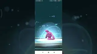 shiny wynaut hatched from an egg so I just evolved it