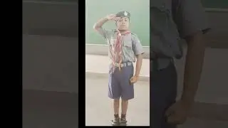 How to salute as a cub or bulbul