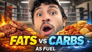 Fats vs Carbs: What REALLY Fuels Performance