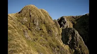 Tararua Crossing 2021