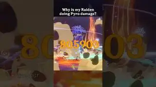WHY IS MY RAIDEN DOING PYRO DAMAGE?