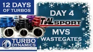 TiAL Sport MVS Wastegates | 12 Days of Turbos