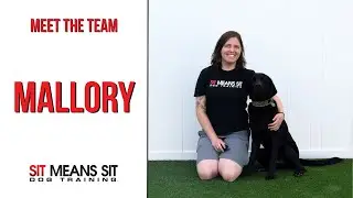 An Interview with Mallory | Meet the Dog Trainers at Sit Means Sit Dog Training Colorado Springs