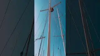 Amel SM2K,Allegra