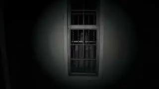 P.T. Lisa at the Window