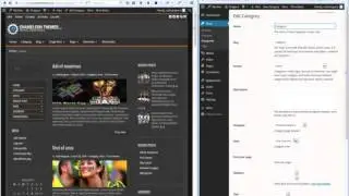 Now to set up category layout? - WordPress