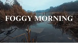 You Will Fall Asleep Instantly 🌧️ Foggy Lake, Rain, Birds & Handpan | 1 Hour Deep Sleep