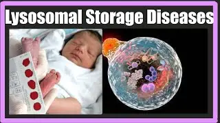 Lysosomal Storage Diseases Part 1 | Complete detail | Tay Sechs | Gyacheirs | Krabbes disease | Easy